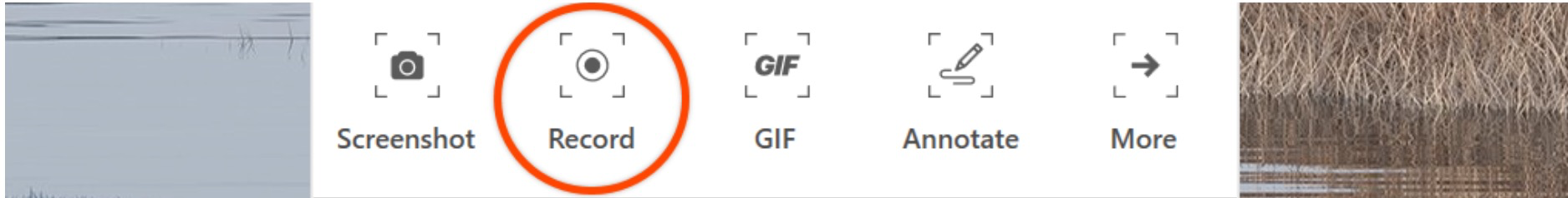 Screen to GIF: How to Create a GIF - Zight