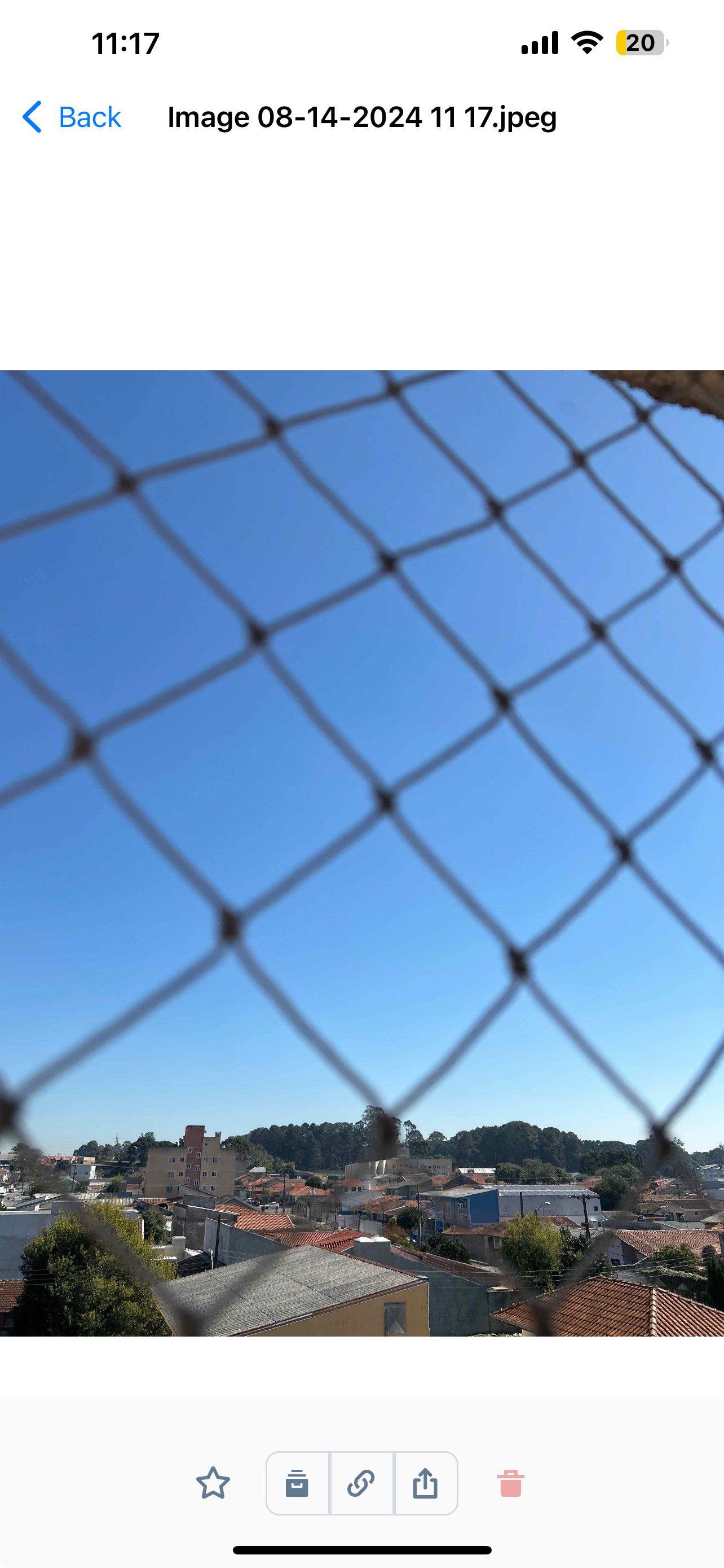 IMG_408F18DC99B0-1.jpeg