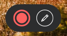 Video Recording Controls.png